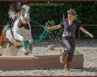 1-13JUIN 0696